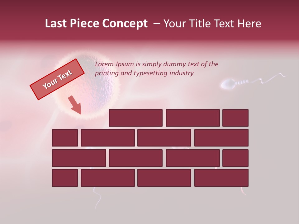 Reproduction Dna Internal PowerPoint Template