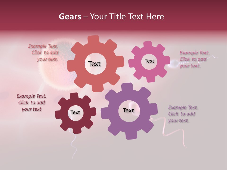 Reproduction Dna Internal PowerPoint Template