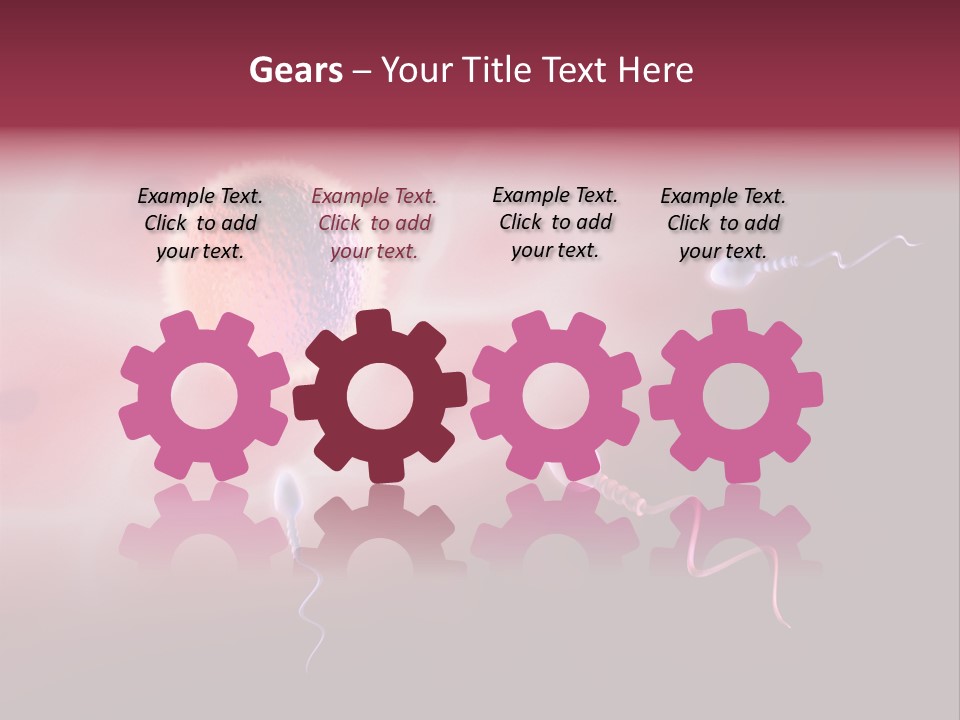 Reproduction Dna Internal PowerPoint Template