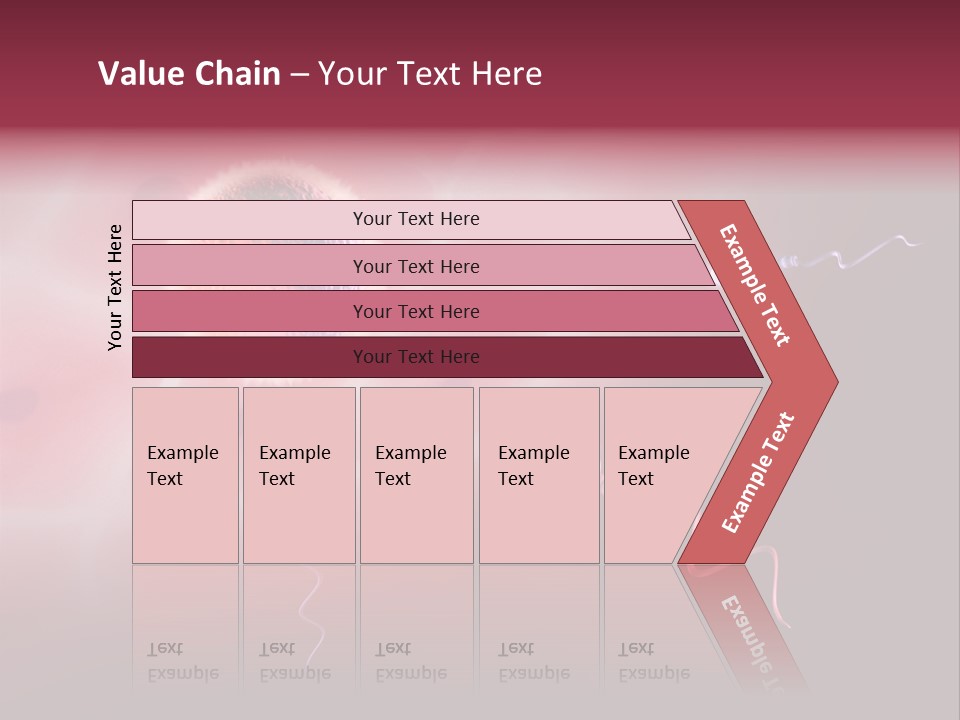 Reproduction Dna Internal PowerPoint Template