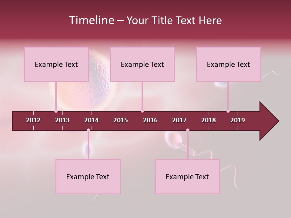 Reproduction Dna Internal PowerPoint Template