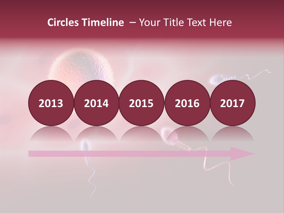 Reproduction Dna Internal PowerPoint Template