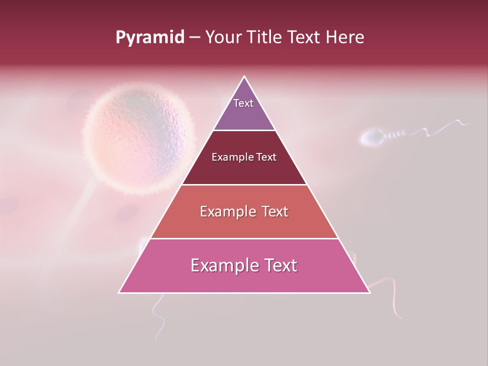 Reproduction Dna Internal PowerPoint Template