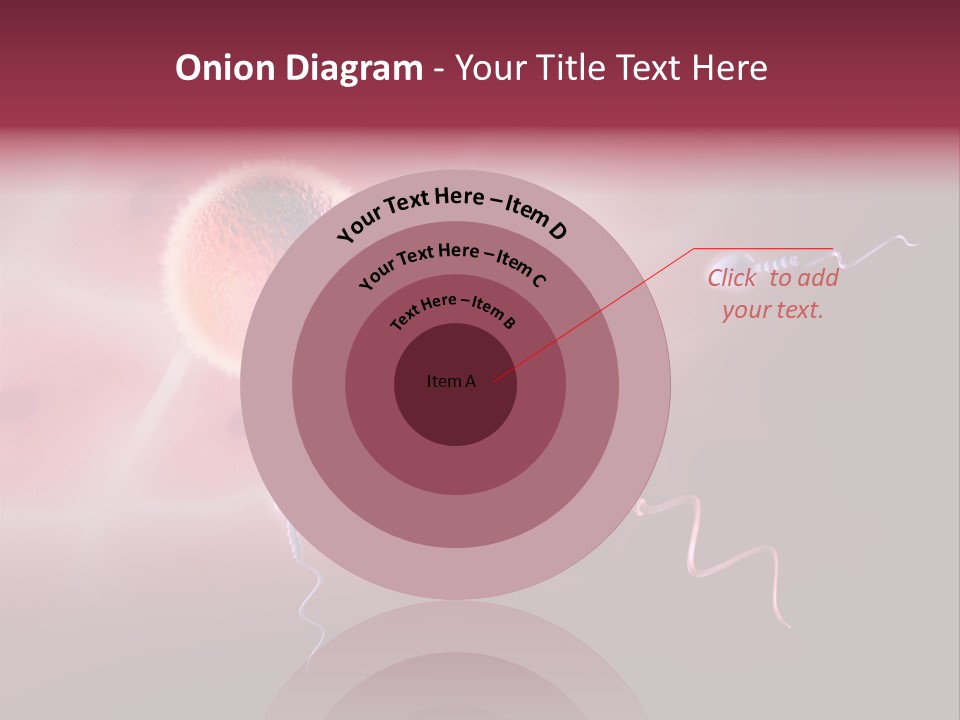 Reproduction Dna Internal PowerPoint Template