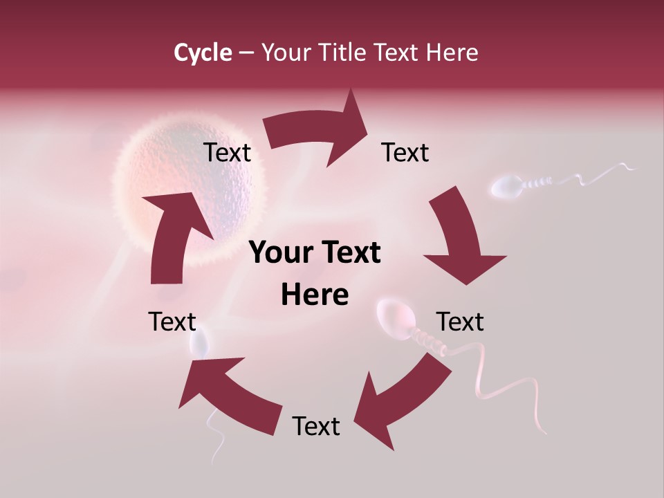 Reproduction Dna Internal PowerPoint Template