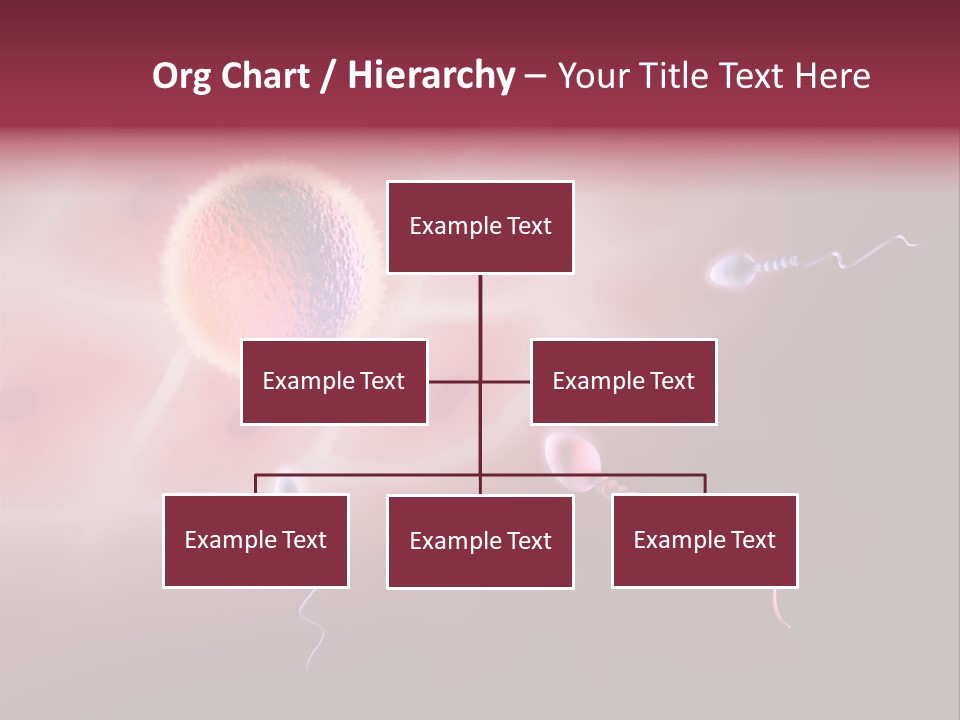 Reproduction Dna Internal PowerPoint Template