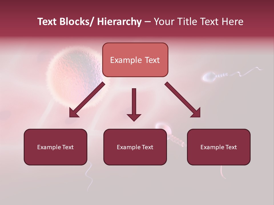 Reproduction Dna Internal PowerPoint Template