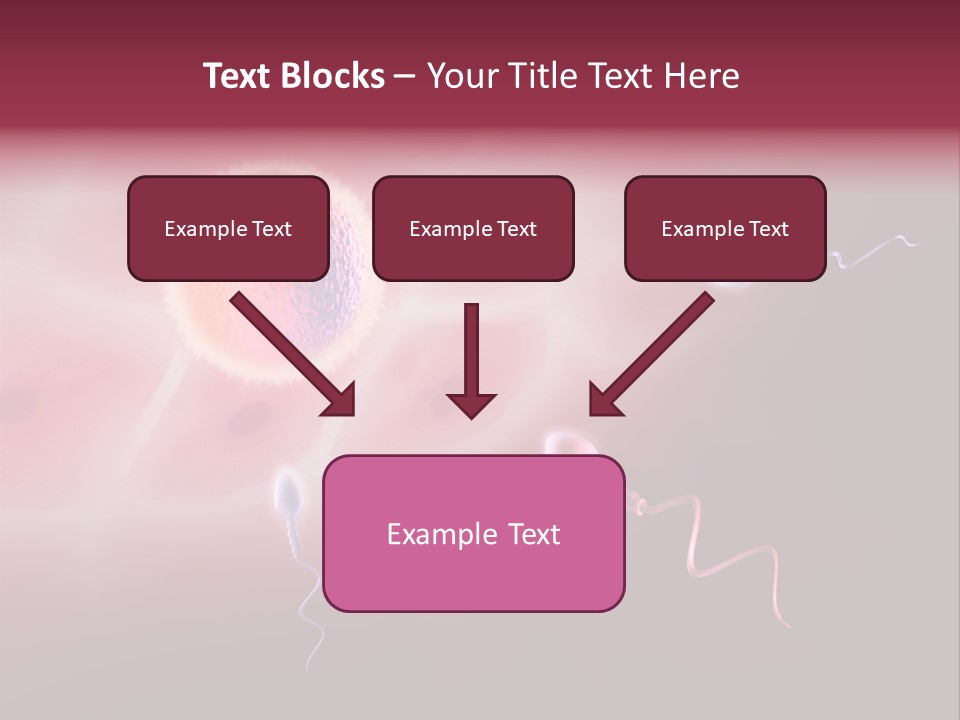 Reproduction Dna Internal PowerPoint Template