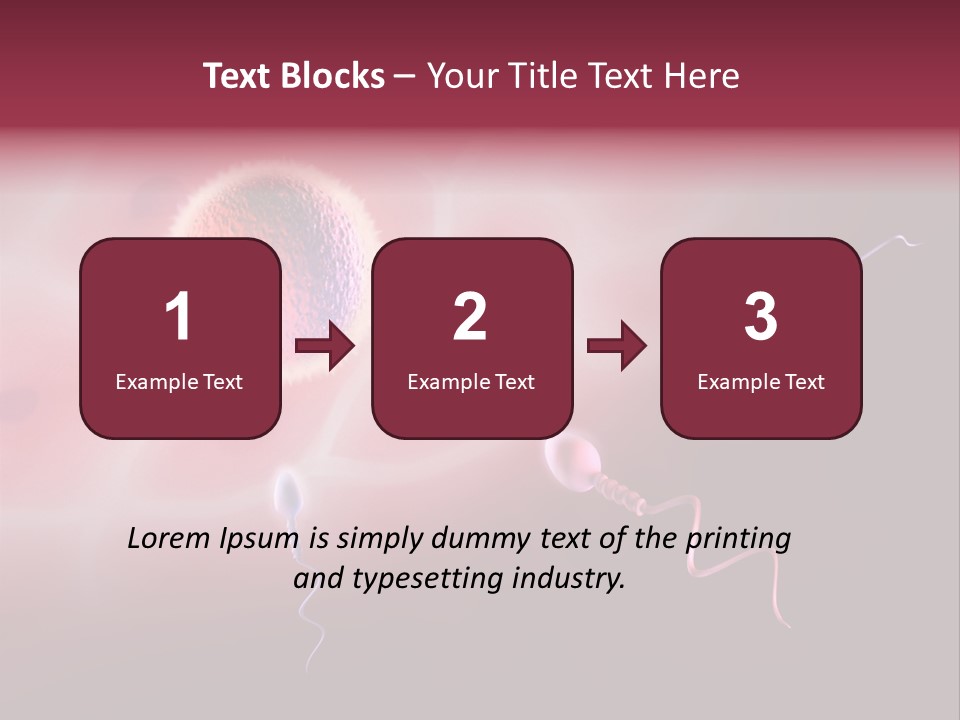 Reproduction Dna Internal PowerPoint Template