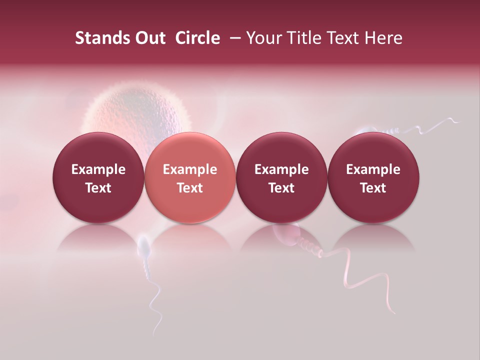 Reproduction Dna Internal PowerPoint Template