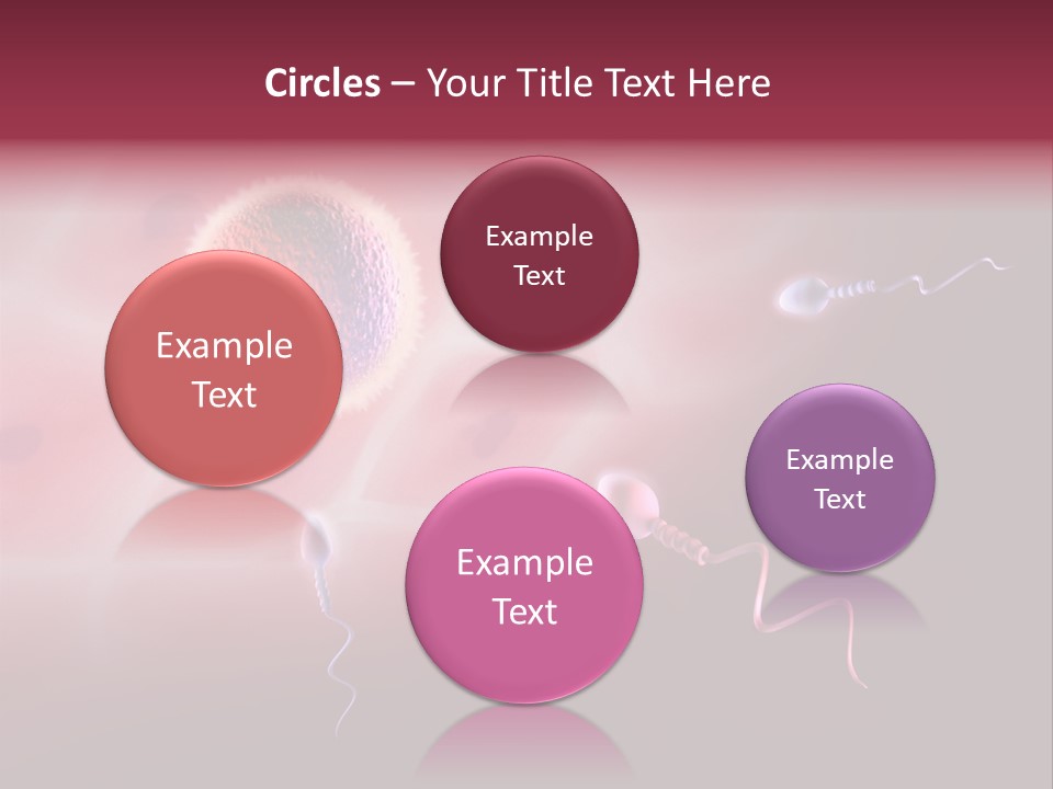 Reproduction Dna Internal PowerPoint Template