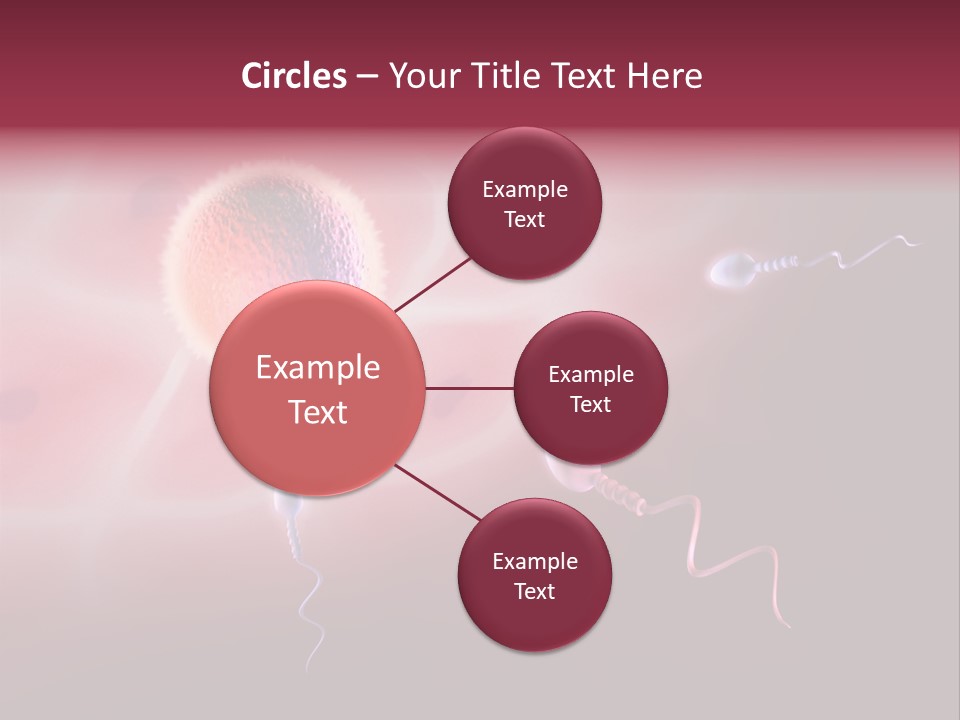 Reproduction Dna Internal PowerPoint Template