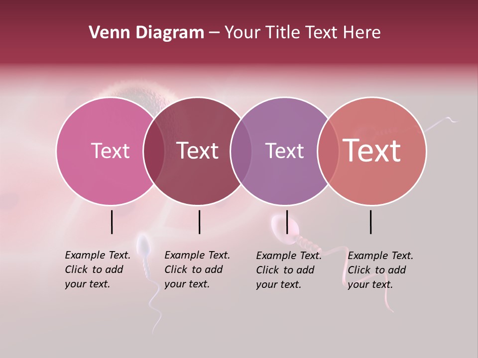 Reproduction Dna Internal PowerPoint Template
