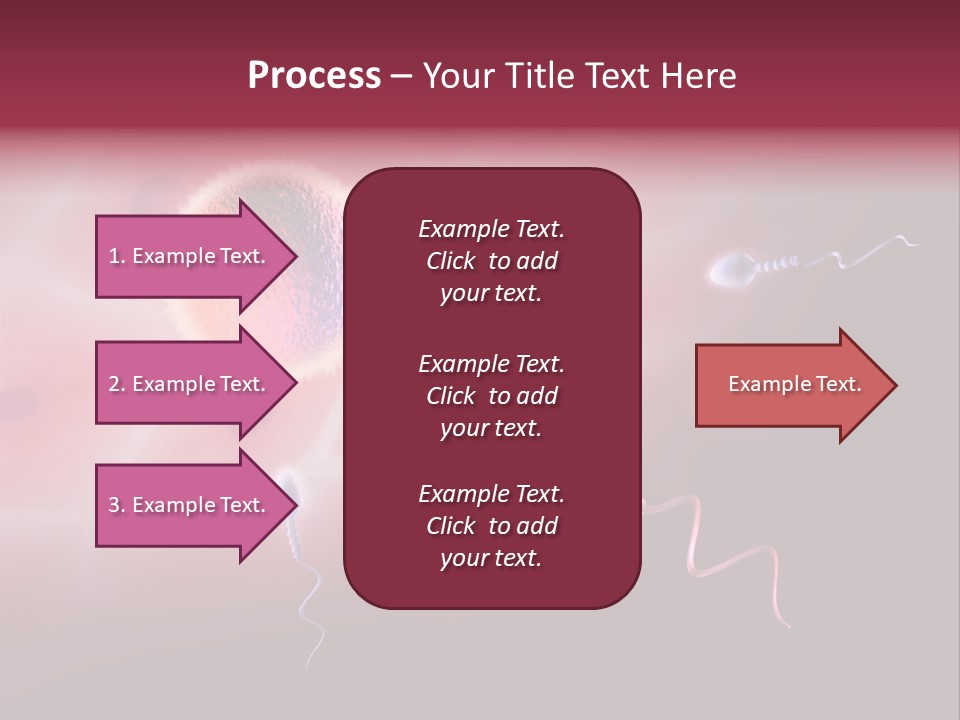 Reproduction Dna Internal PowerPoint Template