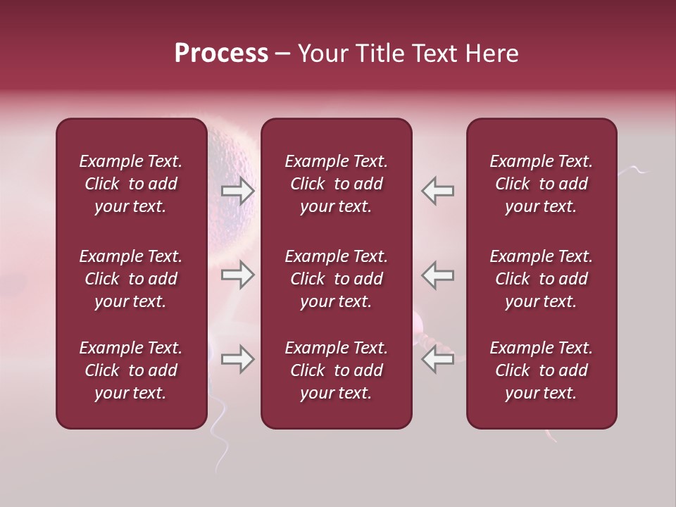 Reproduction Dna Internal PowerPoint Template