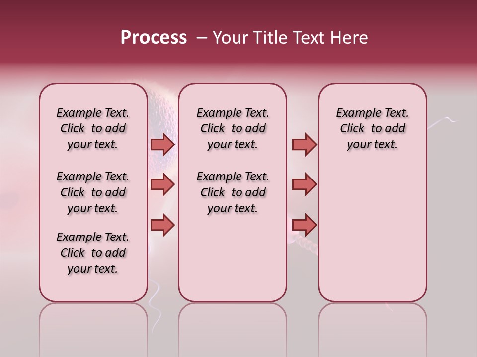 Reproduction Dna Internal PowerPoint Template
