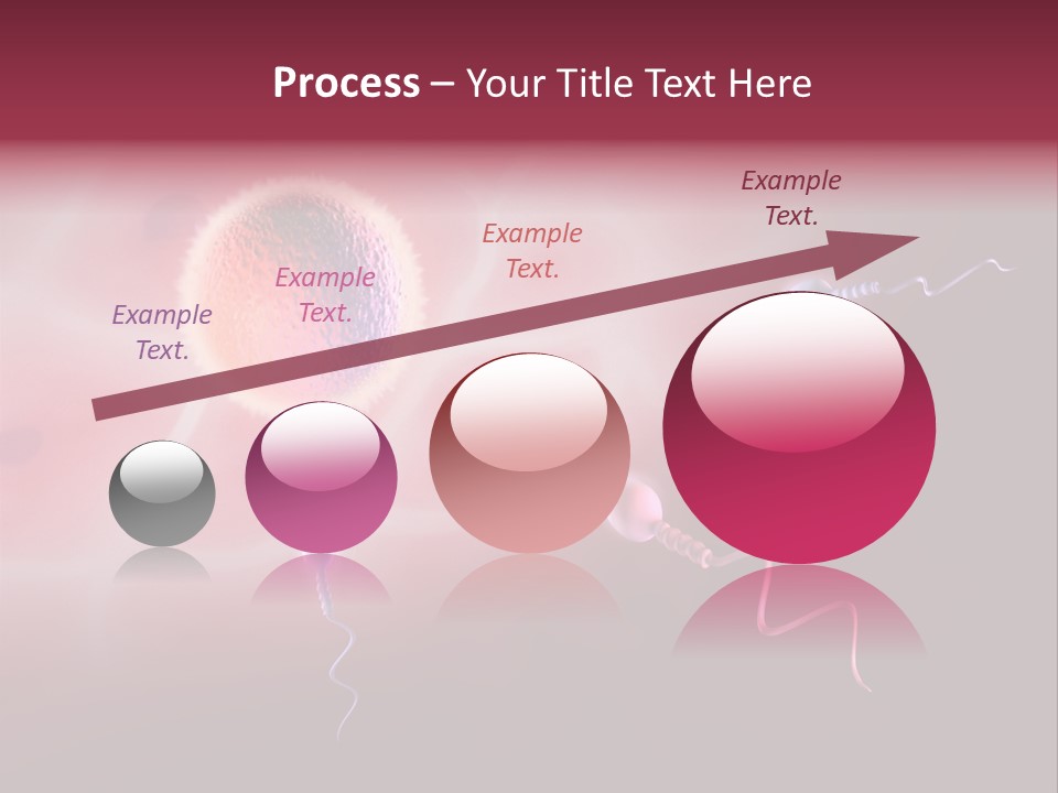Reproduction Dna Internal PowerPoint Template