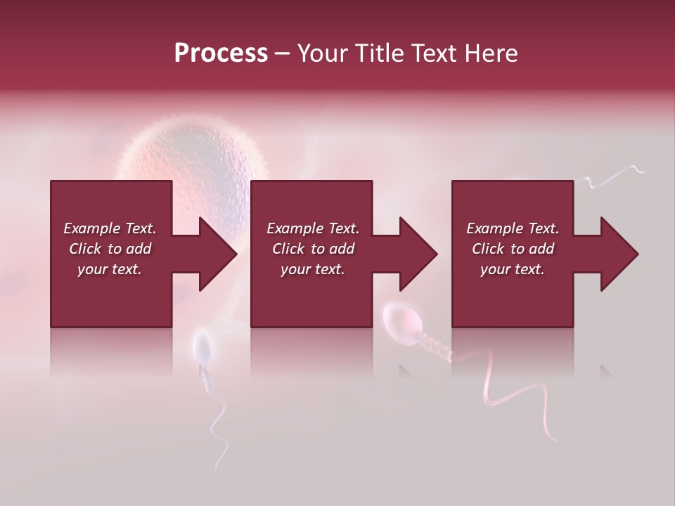 Reproduction Dna Internal PowerPoint Template
