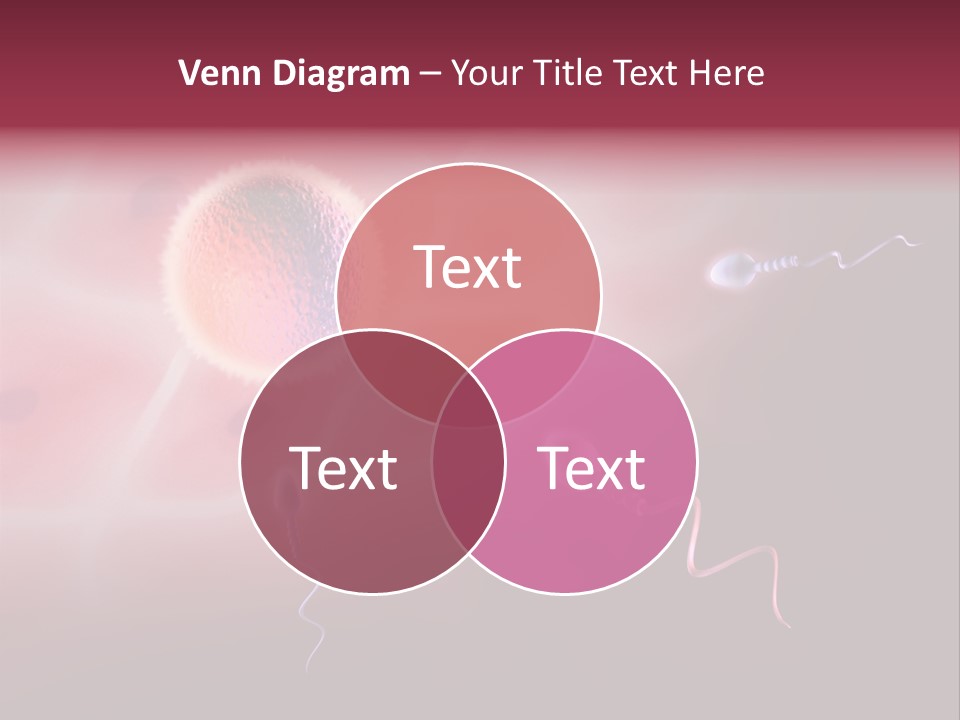 Reproduction Dna Internal PowerPoint Template