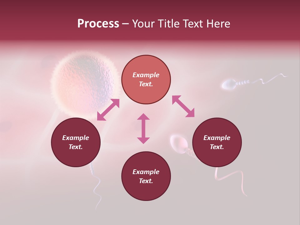 Reproduction Dna Internal PowerPoint Template
