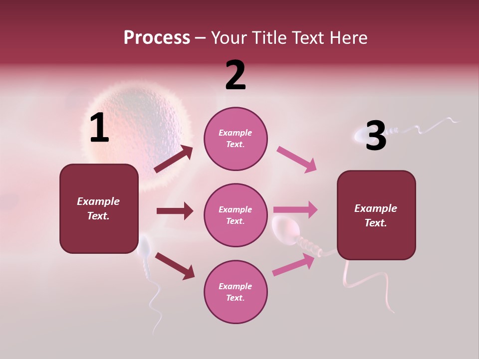 Reproduction Dna Internal PowerPoint Template