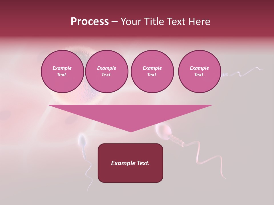 Reproduction Dna Internal PowerPoint Template