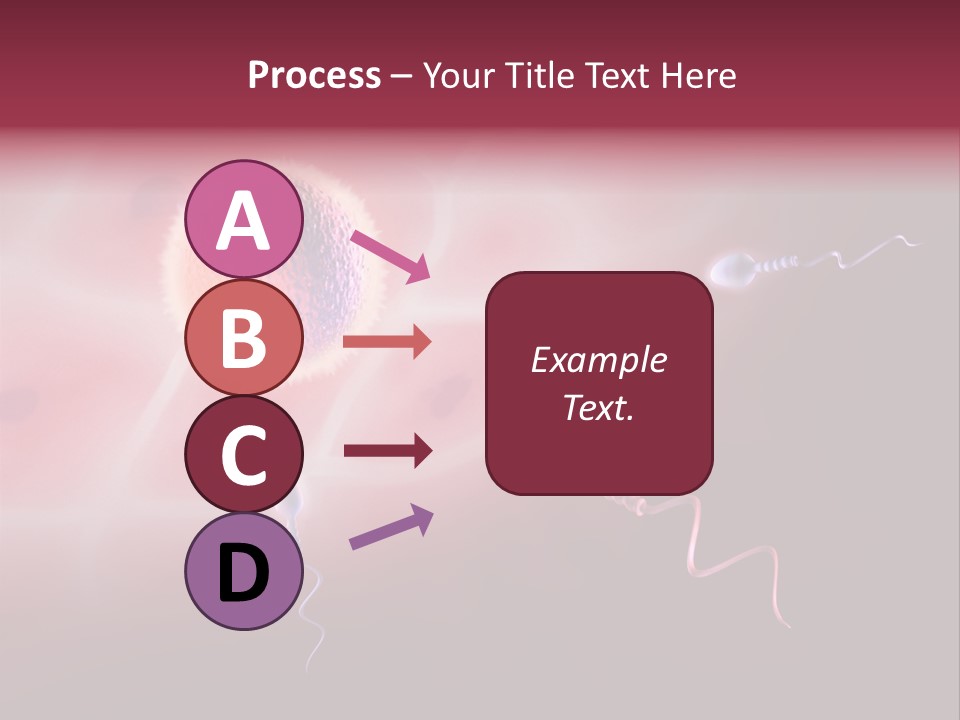 Reproduction Dna Internal PowerPoint Template