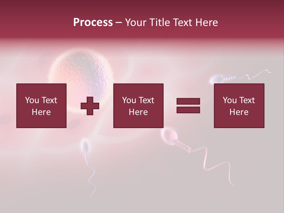 Reproduction Dna Internal PowerPoint Template