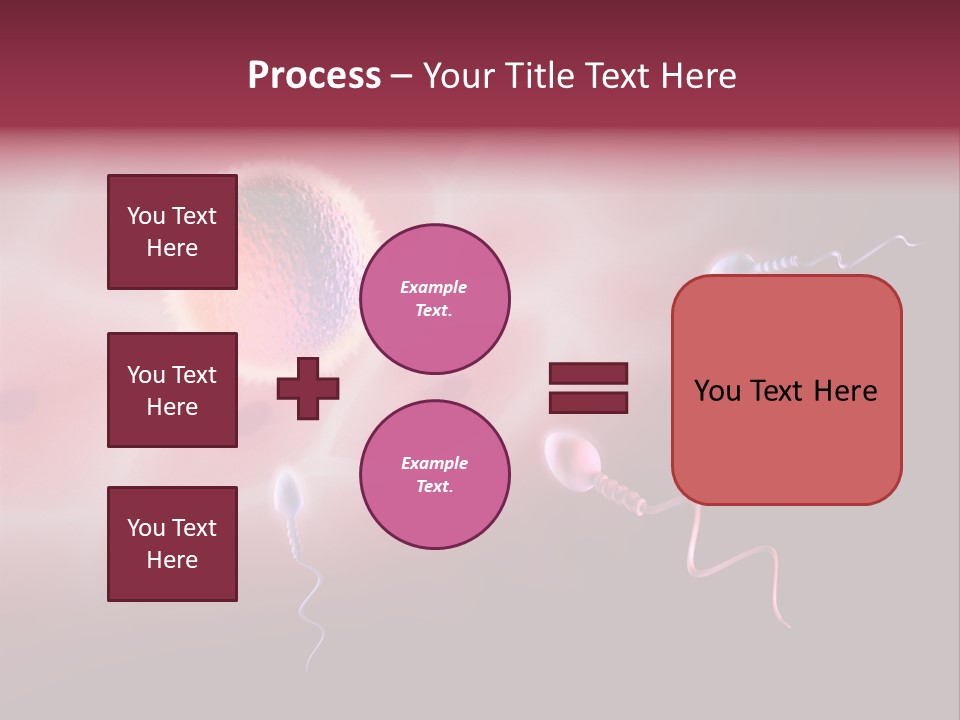 Reproduction Dna Internal PowerPoint Template