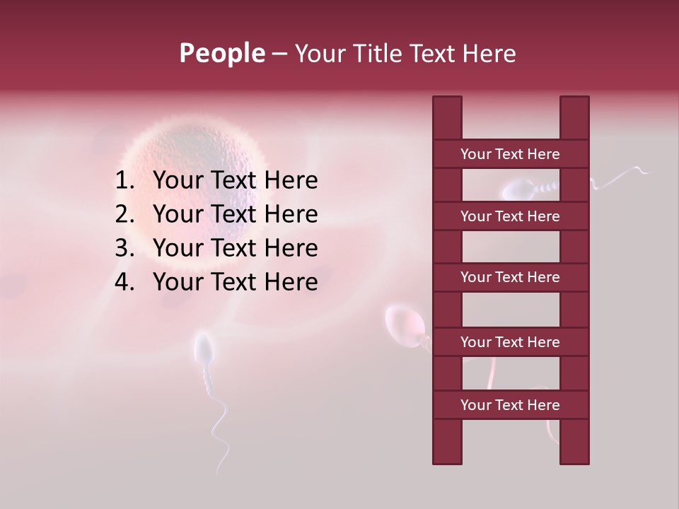 Reproduction Dna Internal PowerPoint Template