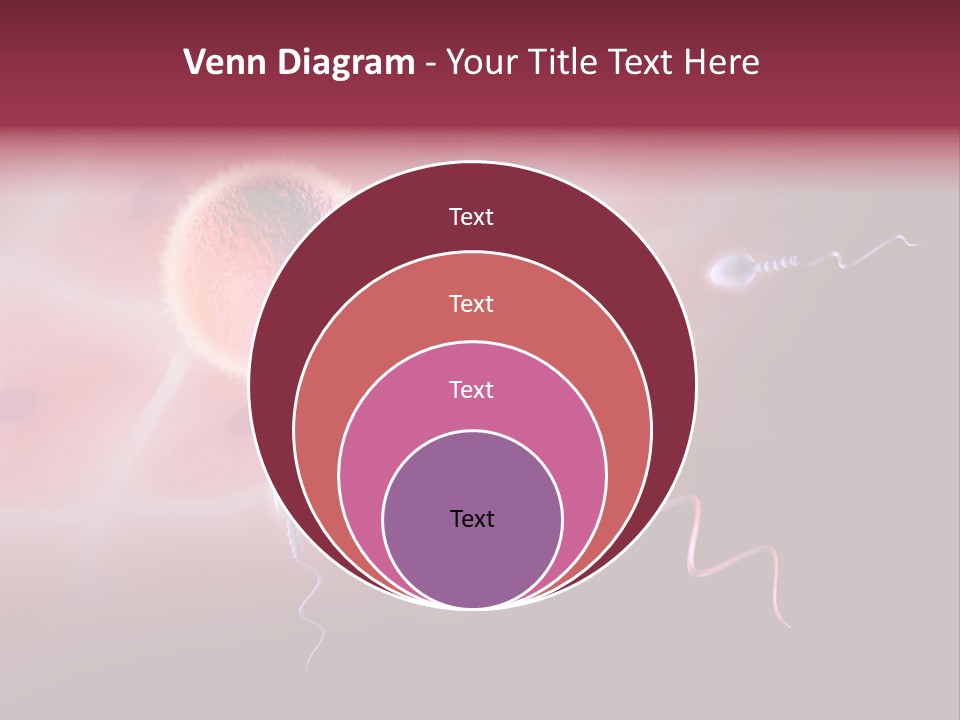 Reproduction Dna Internal PowerPoint Template