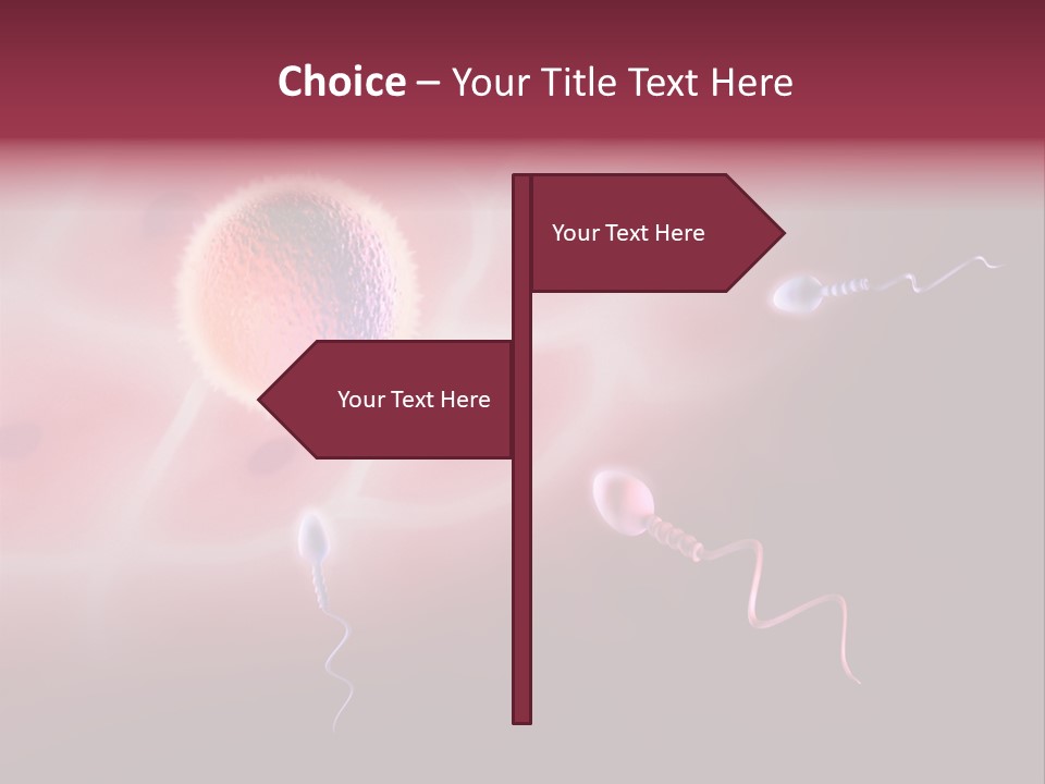 Reproduction Dna Internal PowerPoint Template