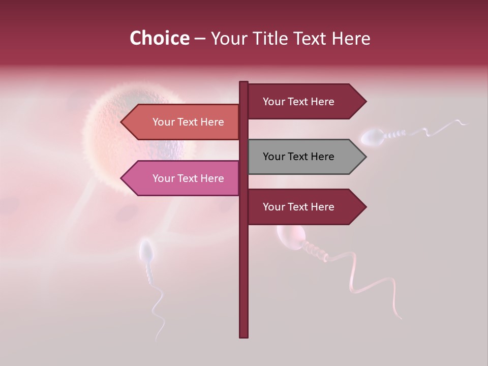 Reproduction Dna Internal PowerPoint Template