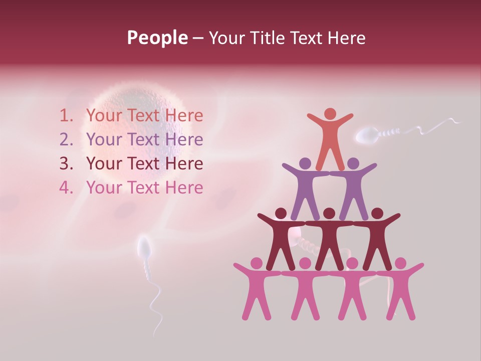 Reproduction Dna Internal PowerPoint Template