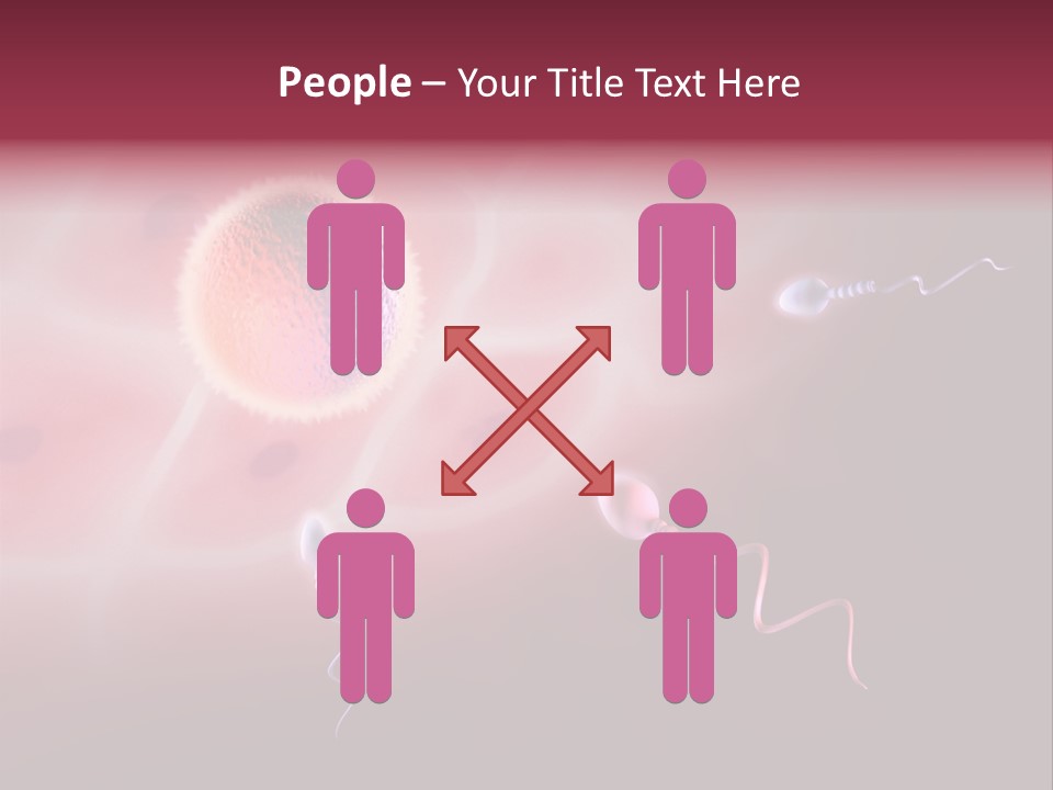 Reproduction Dna Internal PowerPoint Template