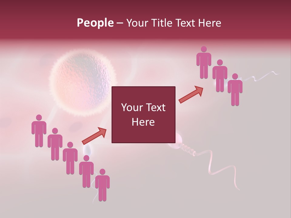 Reproduction Dna Internal PowerPoint Template