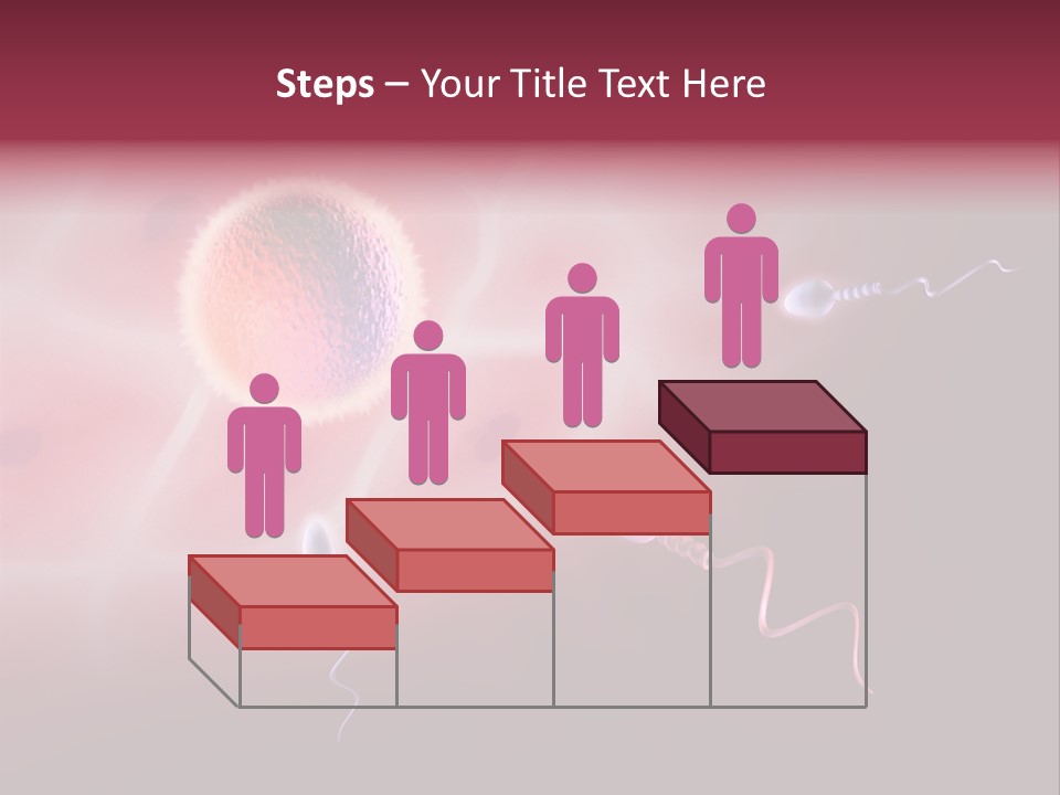 Reproduction Dna Internal PowerPoint Template