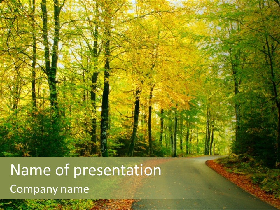 Gold Walk Colorful PowerPoint Template