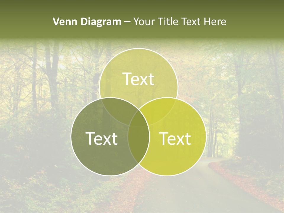 Gold Walk Colorful PowerPoint Template