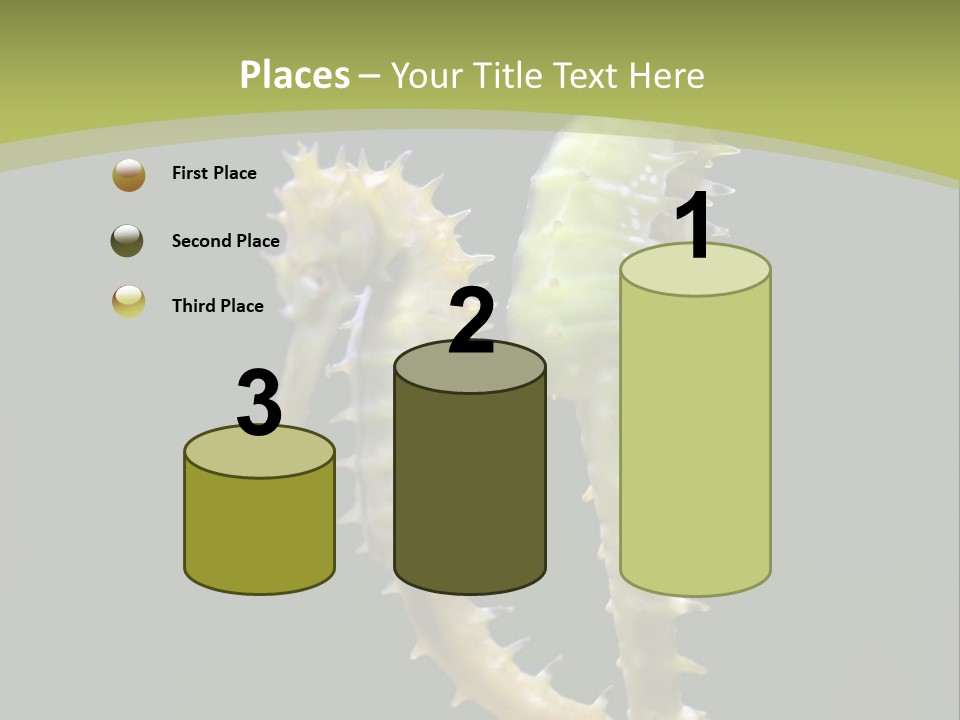 Character Management Meeting PowerPoint Template