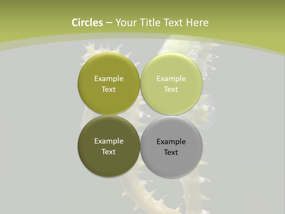 Character Management Meeting PowerPoint Template