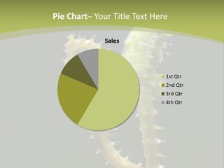 Character Management Meeting PowerPoint Template