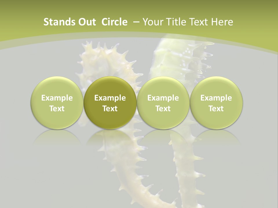 Character Management Meeting PowerPoint Template