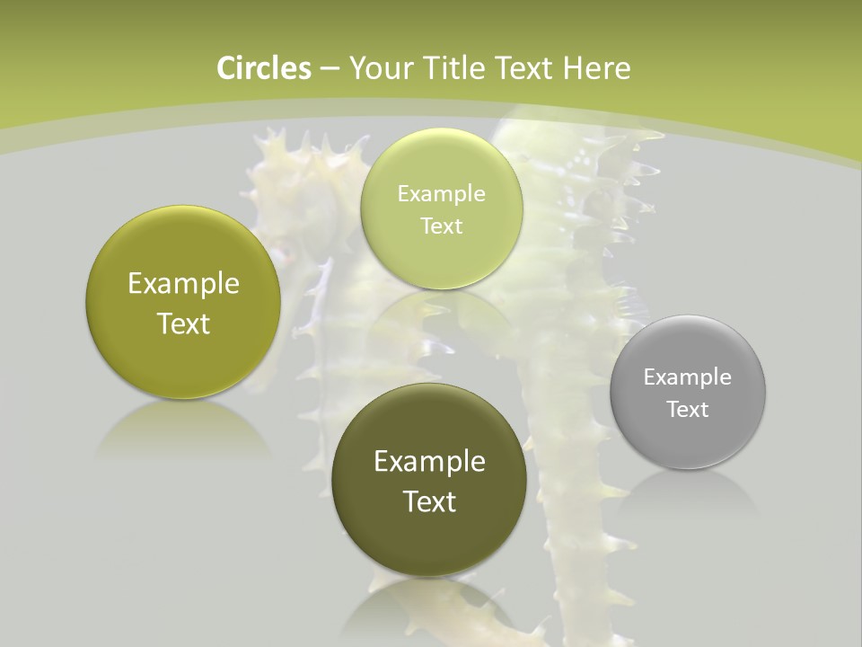 Character Management Meeting PowerPoint Template