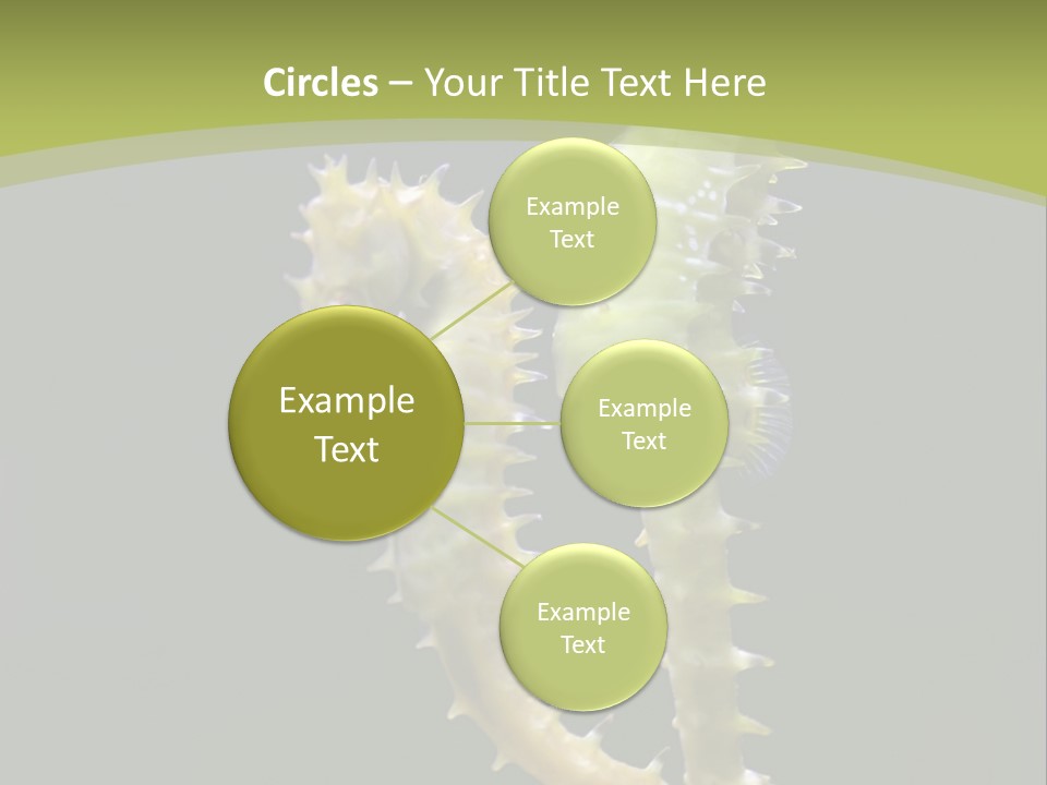 Character Management Meeting PowerPoint Template