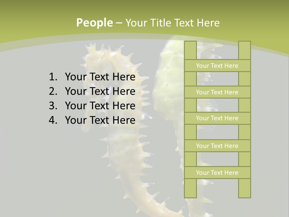 Character Management Meeting PowerPoint Template