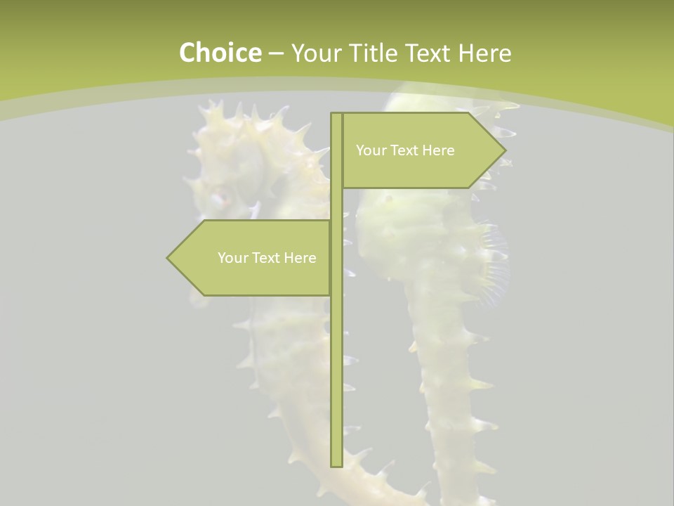 Character Management Meeting PowerPoint Template