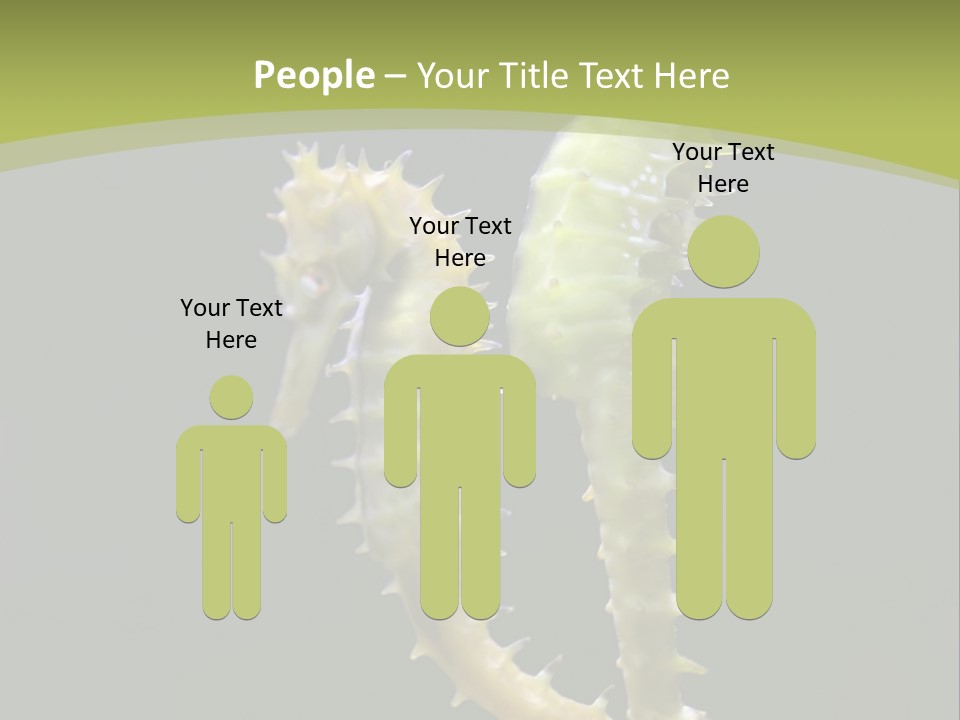 Character Management Meeting PowerPoint Template