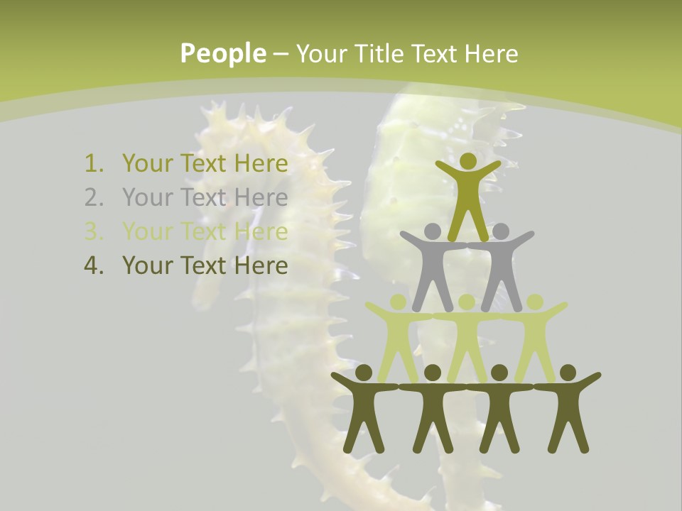 Character Management Meeting PowerPoint Template