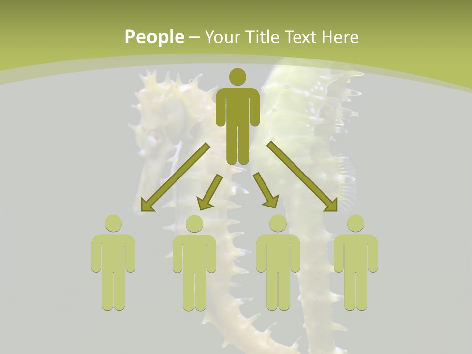 Character Management Meeting PowerPoint Template